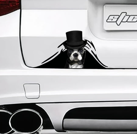 monsieur-boston-crack-sticker-dogs-lover