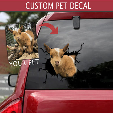 [psl-snf-tpa]-personalized-your-pet-crack-car-sticker-lover