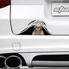 [sk0263-snf-ptd] Funny shih tzu dogs Car Sticker Lover - Camellia Print