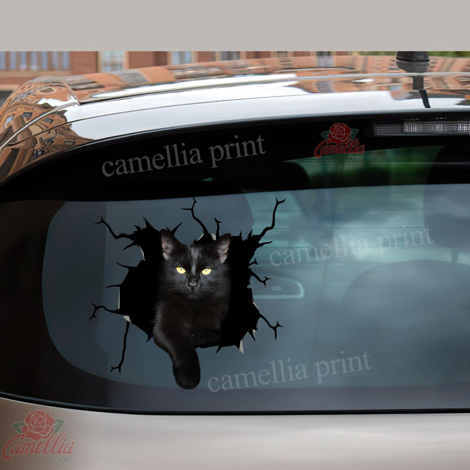 Funny Black Cat Car Decal Custom The Cutest Decal 25th Anniversary Gifts