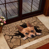 [sk0188-dom-lad] Doormat Chihuahua dogs Decorate The HOUSE - Camellia Print
