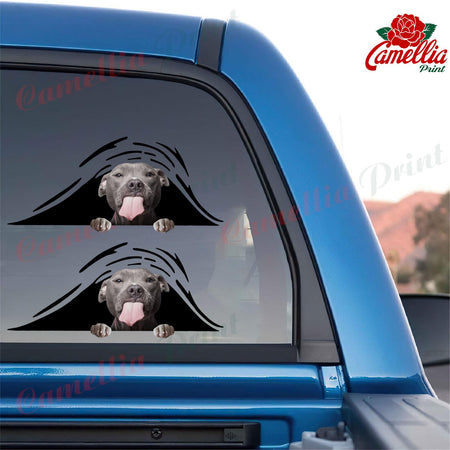 Funny Pitbull Dogs Decal For Rear Window Wiper Funny Quotes Custom Stickers Birthday Gifts For Dad