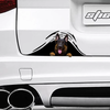 [sk0211-snf-ptd] Funny german dogs Car Sticker Lover - Camellia Print