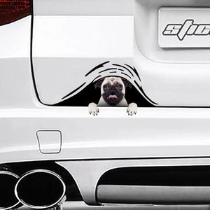 [sk0259-snf-ptd] Funny pug dogs Car Sticker Lover - Camellia Print