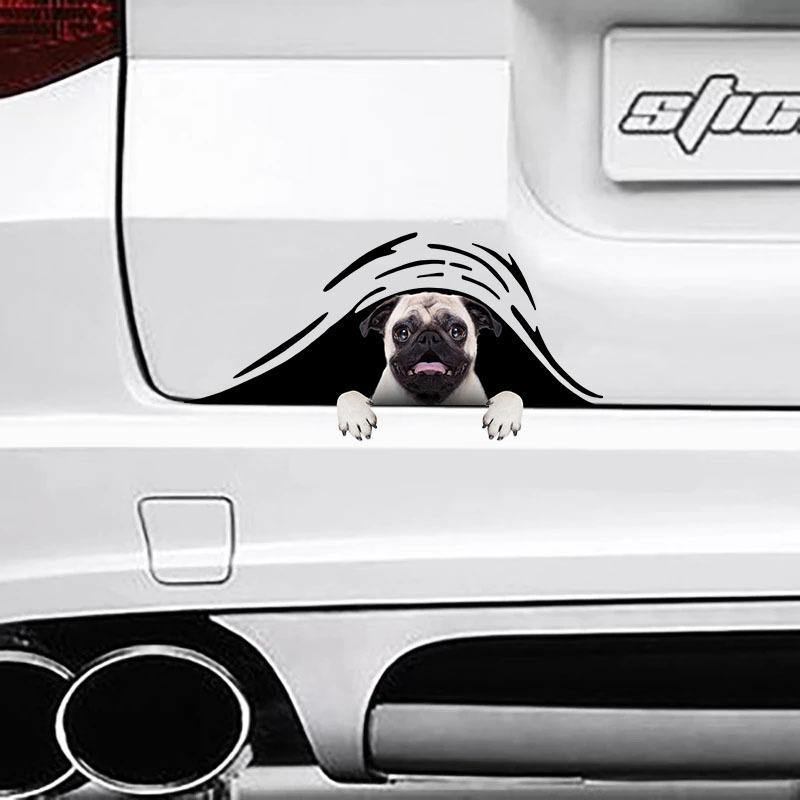 [sk0259-snf-ptd] Funny pug dogs Car Sticker Lover - Camellia Print