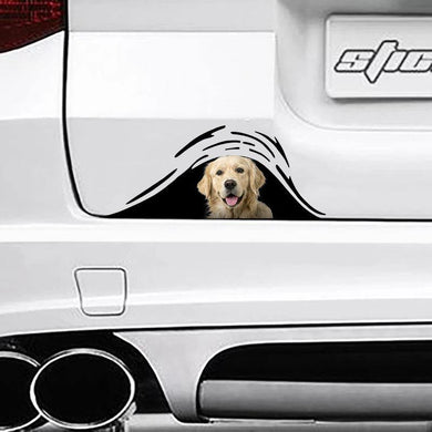 [sk0261-snf-ptd] Funny golden dogs Car Sticker Lover - Camellia Print