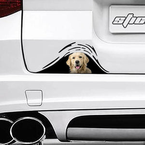 [sk0261-snf-ptd] Funny golden dogs Car Sticker Lover - Camellia Print