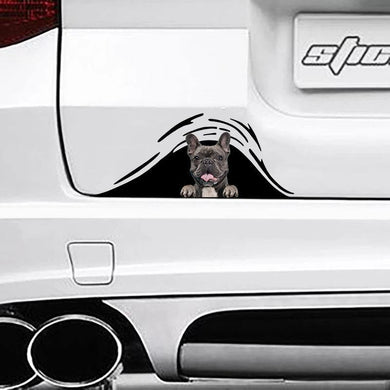[sk0262-snf-ptd] Funny french bulldogs Car Sticker Lover - Camellia Print