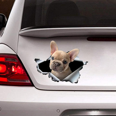 [sk0271-snf-ptd] Funny french bulldogs Crack Car Sticker Lover - Camellia Print