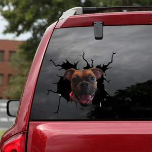 [sk0304-snf-vdt] Funny Boxer car Sticker dogs Lover - Camellia Print