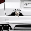 [sk0306-snf-ptd] Maltese car Sticker dogs Lover - Camellia Print