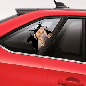 [sk0311-snf-ptd] Funny pitbulls crack car Sticker dogs Lover - Camellia Print