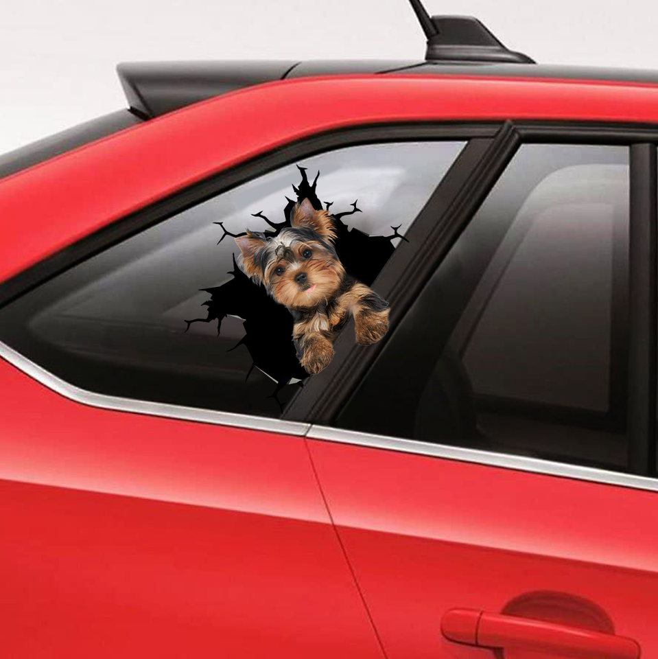 [sk0316-snf-ptd] Funny yorkshire crack car Sticker dogs Lover - Camellia Print