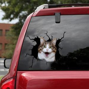[sk0369-snf-tnt] Funny Cats Crack Car Sticker Cats Lover - Camellia Print