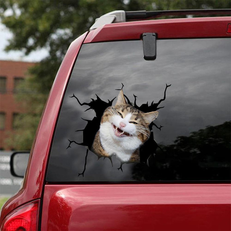 [sk0370-snf-tnt] Funny Cats Crack Car Sticker Cats Lover - Camellia Print