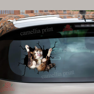 Funny Cats Crack Sticker For Car Window Nice Bumper Stickers First Communion Gifts
