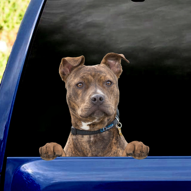 [sk0414-snf-PTD] Funny pibull Car Sticker dogs Lover - Camellia Print