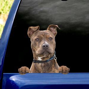 [sk0414-snf-PTD] Funny pibull Car Sticker dogs Lover - Camellia Print