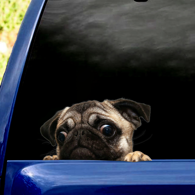 [sk0415-snf-PTD] Funny pug Car Sticker dogs Lover - Camellia Print