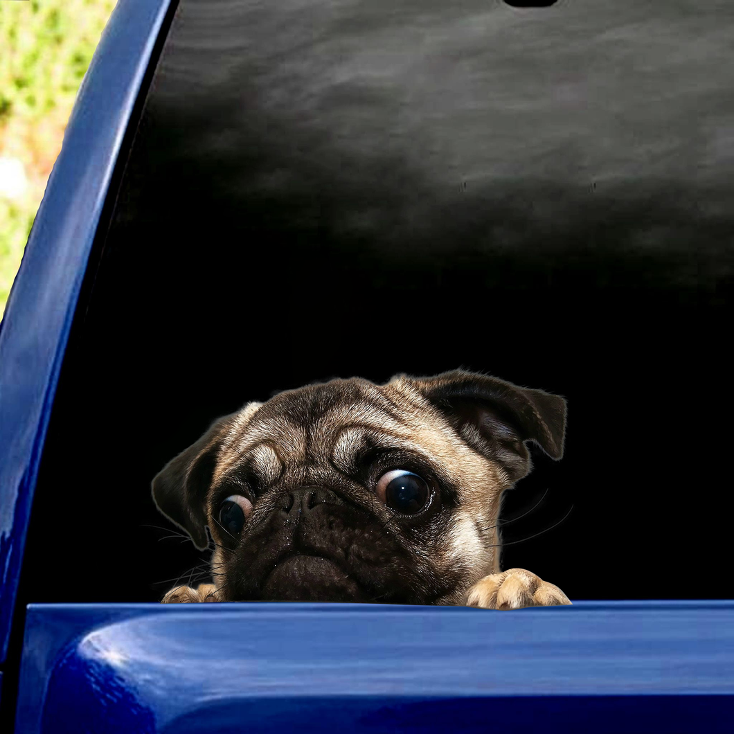 [sk0415-snf-PTD] Funny pug Car Sticker dogs Lover - Camellia Print