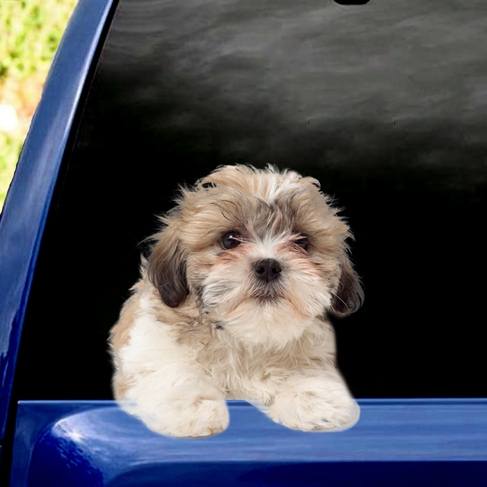 [sk0416-snf-PTD] Funny shih tzu Car Sticker dogs Lover - Camellia Print