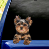 [sk0417-snf-PTD] Funny yorkshire Car Sticker dogs Lover - Camellia Print
