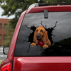 bloodhound-crack-sticker-dogs-lover