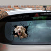 Weimaraners Crack Car Decal Custom The Cutest Computer Stickers Good Gifts For Dad