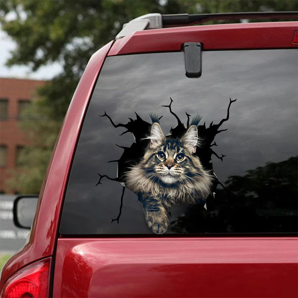[sk0608-snf-tnt]-maine-coon-crack-sticker-cats-lover