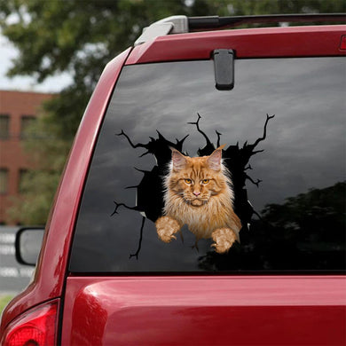 [sk0611-snf-tnt]-maine-coon-crack-sticker-cats-lover