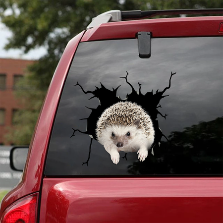 [sk0766-snf-tnt]-hedgehog-crack-car-sticker-animals-lover