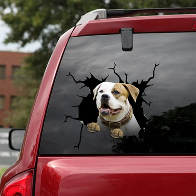 [sk0978-snf-ptd]-america-bulldog-crack-sticker-dogs-lover