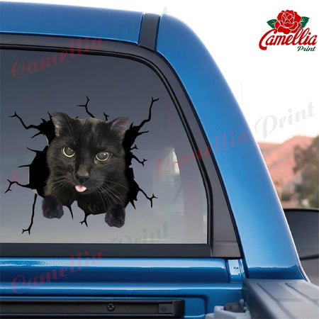 Black Cat Crack Sticker Decals Hot Decals Stickers 7 Year Anniversary Gift