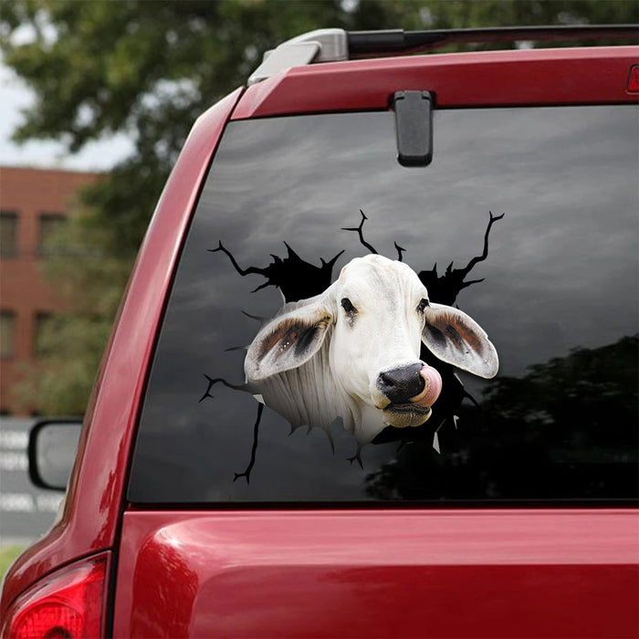 [sk1195-snf-tnt]-brahman-cow-crack-sticker-cattle-lover