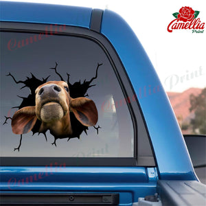 Brahman Cattle Cow Crack Sticker Pack Super Cute Art Stickers Gift Delivery
