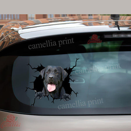 Black Labrador Crack Decor Decal Funny Faces Custom Stickers Couple Gift Ideas