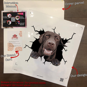 Chocolate Labrador Crack Sticker Album Pretty Vinyl Decals Christmas Ideas 2021