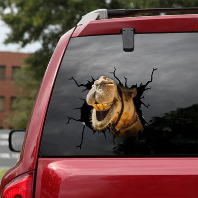 [sk1467-snf-tnt]-funny-camel-crack-car-sticker-animals-lover