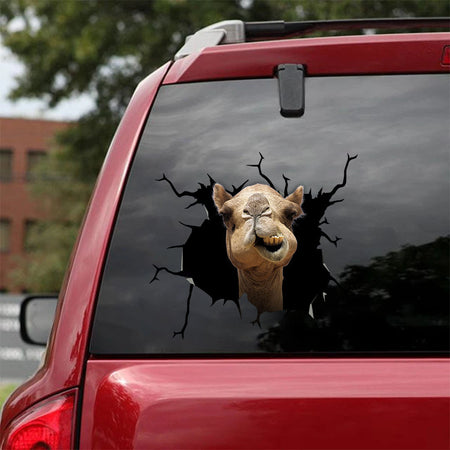 [sk1469-snf-tnt]-funny-camel-crack-car-sticker-animals-lover