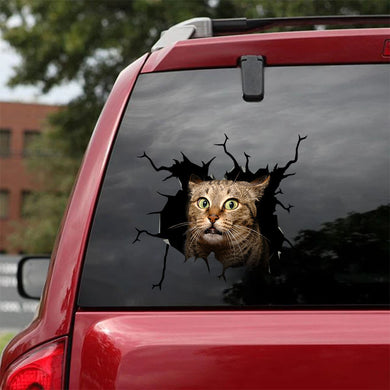 [sk1495-snf-tnt]-bengal-cat-crack-car-sticker-cats-lover