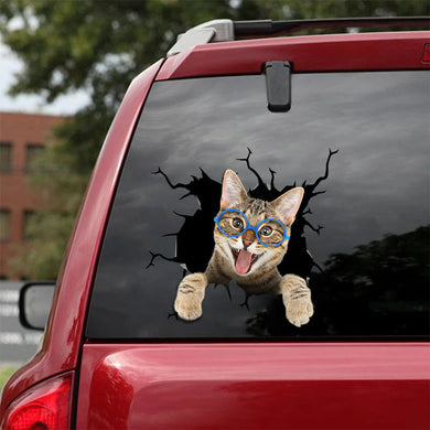 [sk1496-snf-tnt]-bengal-cat-crack-car-sticker-cats-lover