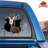 Toggenburg Goat Crack Sticker Album Pretty Cute Circle Stickers Mens Valentines Gifts