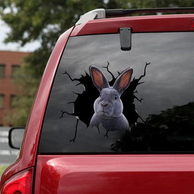 [sk1551-snf-tnt]-rabbit-crack-car-sticker-animals-lover