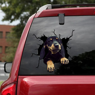 [sk1617-snf-tpa]-dachshund-crack-car-sticker-dogs-lover