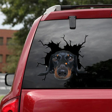 [sk1618-snf-tpa]-dachshund-crack-car-sticker-dogs-lover