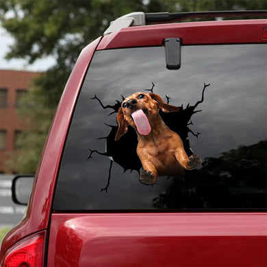 [sk1619-snf-tpa]-dachshund-crack-car-sticker-dogs-lover