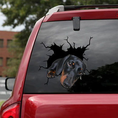 [sk1622-snf-tpa]-dachshund-crack-car-sticker-dogs-lover