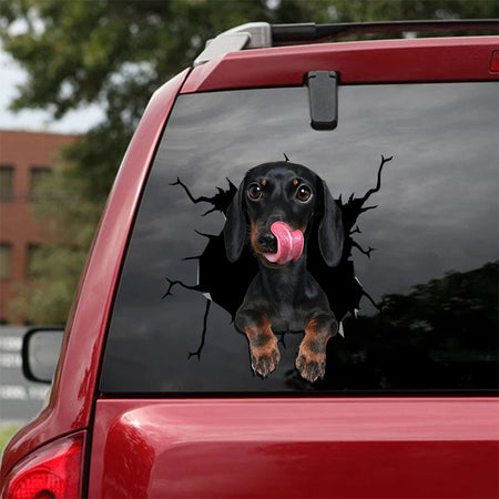 [sk1623-snf-tpa]-dachshund-crack-car-sticker-dogs-lover