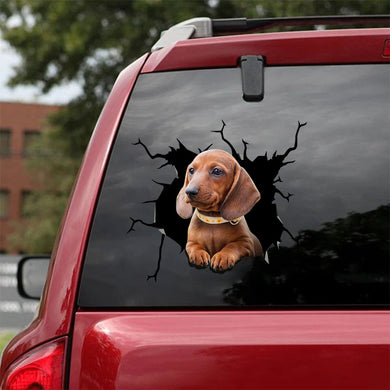 [sk1627-snf-tpa]-dachshund-crack-car-sticker-dogs-lover