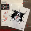 Border Collie Crack Decal For Rear Window Wiper Humor Big Stickers Cutting Board
